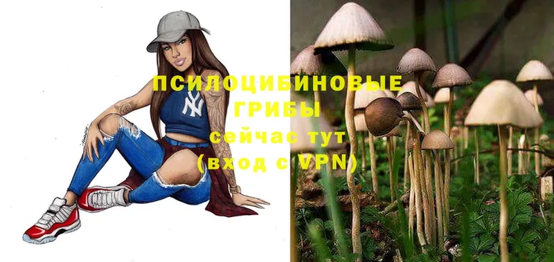 Псилоцибиновые грибы Magic Shrooms  Бугуруслан 